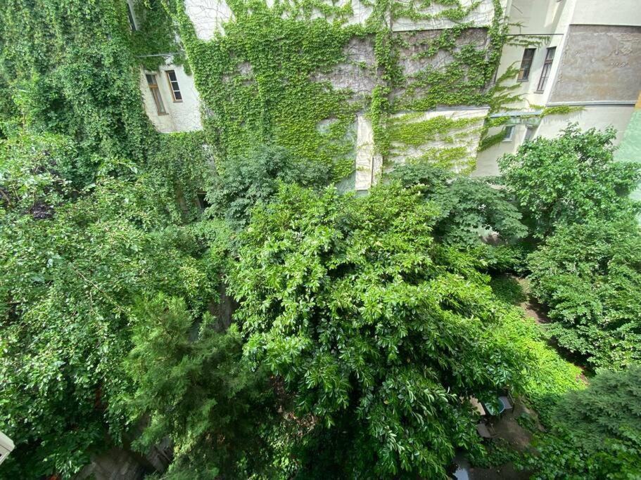 Raday Street, Spacious, Modern Apartment Budapest Exteriör bild